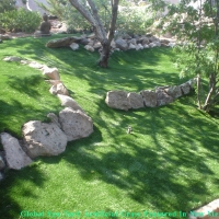 Fake Turf Neptune Beach, Florida Backyard Deck Ideas, Commercial Landscape