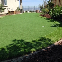 Faux Grass Heathrow, Florida Landscaping, Backyard