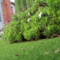 Faux Grass Interlachen, Florida Backyard Deck Ideas, Front Yard Ideas