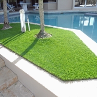 Faux Grass Lake City, Florida Design Ideas, Backyard