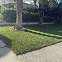 Faux Grass Pine Ridge, Florida Gardeners, Small Front Yard Landscaping