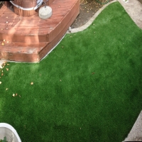 Grass Carpet Citra, Florida Design Ideas, Backyard Landscape Ideas