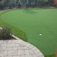 Grass Carpet Doctor Phillips, Florida Outdoor Putting Green, Backyard Design