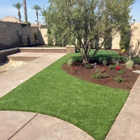 Grass Carpet Eustis, Florida Backyard Deck Ideas, Small Front Yard Landscaping