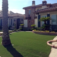 Grass Carpet Wekiwa Springs, Florida Rooftop, Front Yard Landscaping Ideas