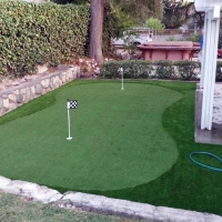 Grass Carpet Wekiwa Springs, Florida Garden Ideas, Backyard Designs