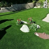 Grass Carpet West DeLand, Florida Home And Garden, Front Yard Ideas