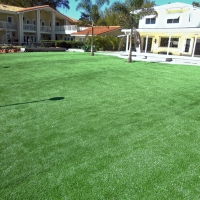 Grass Carpet Williamsburg, Florida Landscape Ideas, Kids Swimming Pools