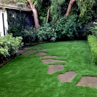 Grass Carpet Zephyrhills, Florida Backyard Deck Ideas, Beautiful Backyards