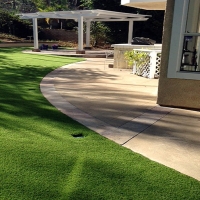 Grass Installation Astatula, Florida Cat Playground, Front Yard Design