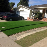 Grass Installation Clarcona, Florida Backyard Playground, Front Yard Ideas