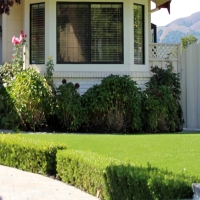 Grass Installation Eatonville, Florida Gardeners, Front Yard Design