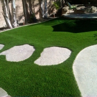 Grass Installation Five Points, Florida Garden Ideas, Beautiful Backyards