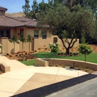 Grass Installation Fruit Cove, Florida Landscape Design, Front Yard