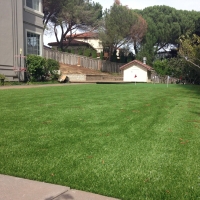 Grass Installation Hernando, Florida Office Putting Green, Small Backyard Ideas