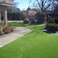 Grass Turf Beverly Beach, Florida Landscape Design, Front Yard Landscaping