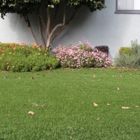 Grass Turf Cedar Key, Florida Design Ideas, Front Yard Landscape Ideas