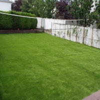 Grass Turf Edgewood, Florida City Landscape, Backyard Landscape Ideas