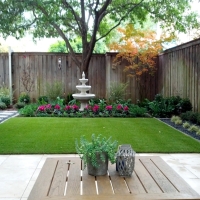 Grass Turf Gainesville, Florida Landscaping Business, Backyard Ideas