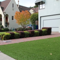 Grass Turf Hastings, Florida Garden Ideas, Front Yard Design