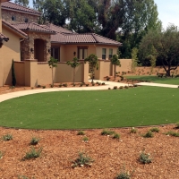 Grass Turf Inverness Highlands North, Florida Backyard Playground, Front Yard