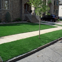 Grass Turf Lacoochee, Florida Design Ideas, Front Yard Landscape Ideas