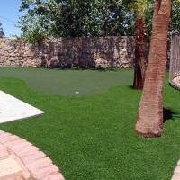 Grass Turf Ocala, Florida Gardeners, Backyard Landscaping