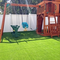 Grass Turf Raiford, Florida Roof Top, Backyards