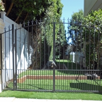 Grass Turf Saint Augustine Beach, Florida Design Ideas, Front Yard Landscaping