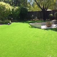 Green Lawn Chiefland, Florida Lawns, Small Backyard Ideas