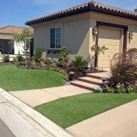 Green Lawn Coleman, Florida Gardeners, Front Yard Ideas