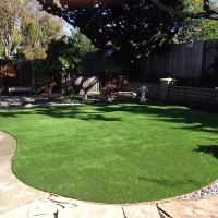 Green Lawn Howie In The Hills, Florida Landscape Ideas, Backyard