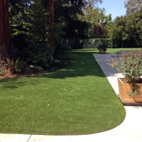 Green Lawn Lockhart, Florida Dog Park, Front Yard Design