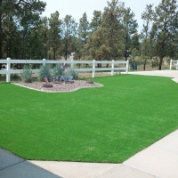 Green Lawn Seville, Florida Landscape Ideas, Front Yard Design