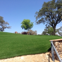 Green Lawn Winter Springs, Florida Rooftop, Front Yard Design