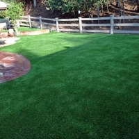 Installing Artificial Grass Villano Beach, Florida Dog Park, Backyard Landscape Ideas