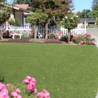 Lawn Services Black Diamond, Florida Garden Ideas, Small Front Yard Landscaping