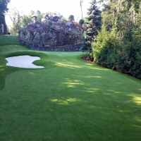 Lawn Services DeBary, Florida Indoor Putting Greens, Commercial Landscape