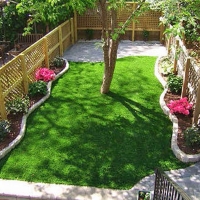 Lawn Services DeLand, Florida Landscape Photos, Small Backyard Ideas