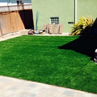 Outdoor Carpet Hawthorne, Florida Lawn And Garden, Backyard