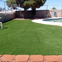 Outdoor Carpet Keystone Heights, Florida Dog Parks, Natural Swimming Pools