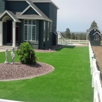 Outdoor Carpet Polk City, Florida Lawns, Small Front Yard Landscaping