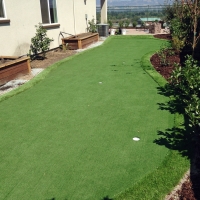 Outdoor Carpet Saint Leo, Florida Putting Green, Backyard Makeover