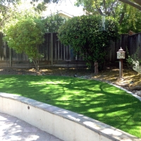 Outdoor Carpet Union Park, Florida Lawn And Garden, Commercial Landscape