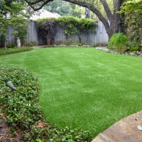 Plastic Grass Bithlo, Florida Landscaping, Backyard Designs