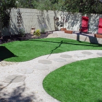 Plastic Grass Groveland, Florida Landscaping Business, Backyard Ideas