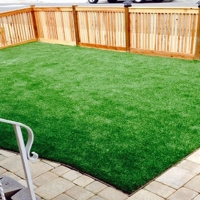 Plastic Grass Lake City, Florida Landscape Ideas, Small Backyard Ideas