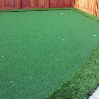 Plastic Grass Palm Valley, Florida Best Indoor Putting Green, Backyard Design