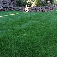 Plastic Grass Saint Augustine, Florida Rooftop, Backyard Design