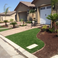 Plastic Grass South Apopka, Florida Landscaping Business, Front Yard Landscaping